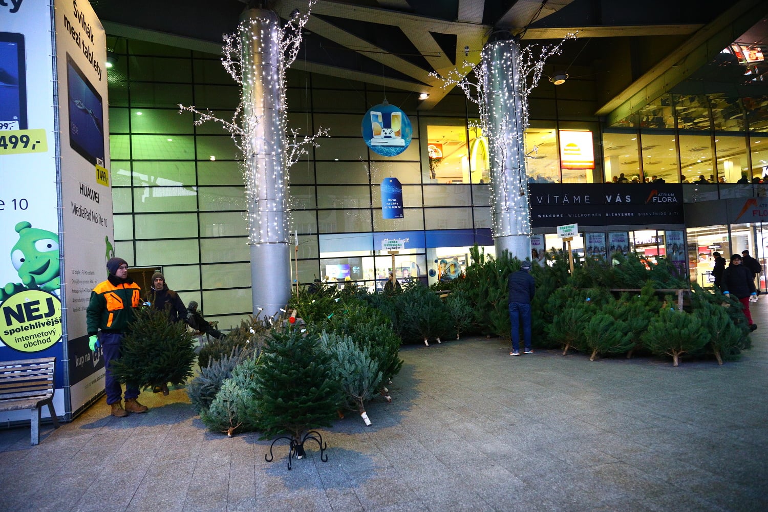 Prodej vánočních stromů 2017