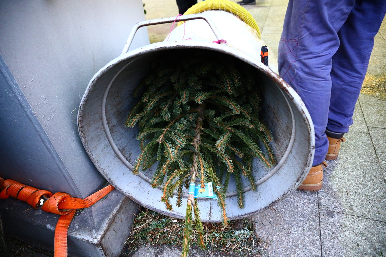 Prodej vánočních stromů 2017