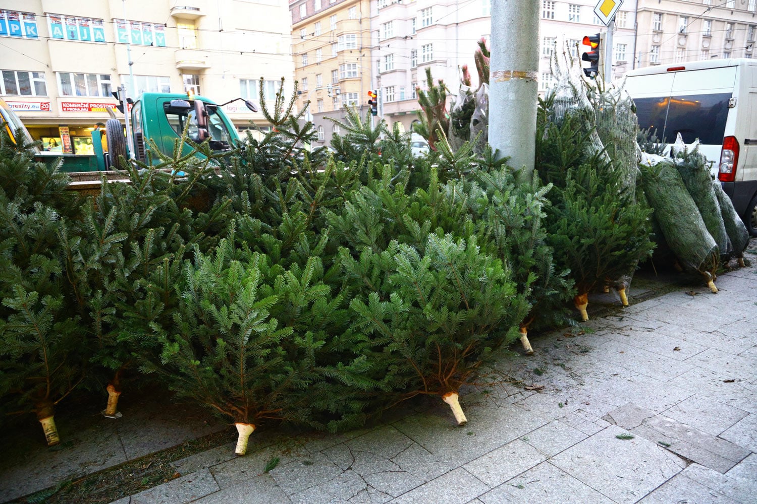 Prodej vánočních stromů 2017