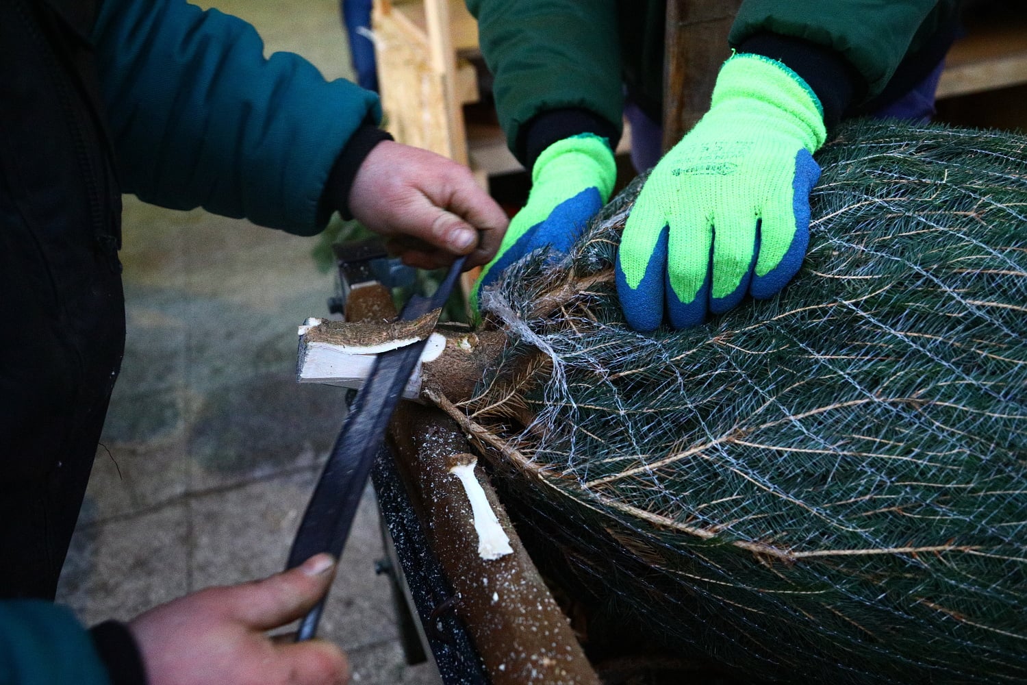Prodej vánočních stromů 2017