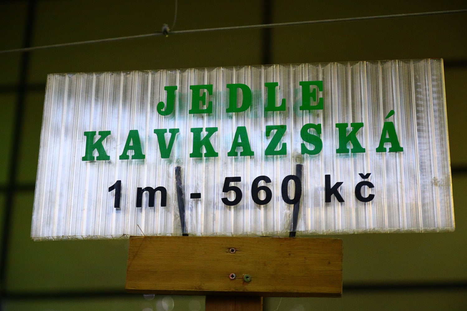 Prodej vánočních stromů 2017