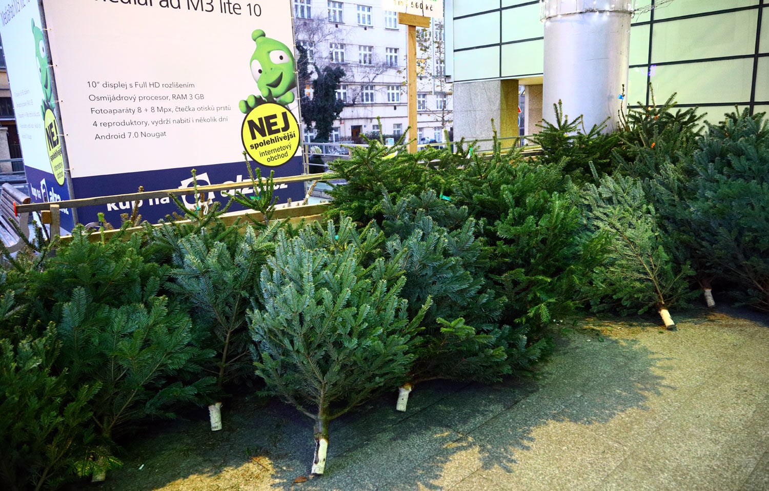Prodej vánočních stromů 2017