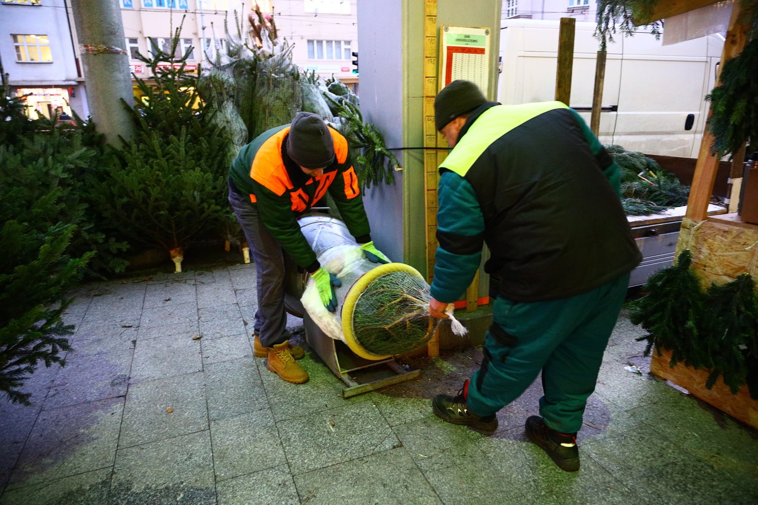 Prodej vánočních stromů 2017