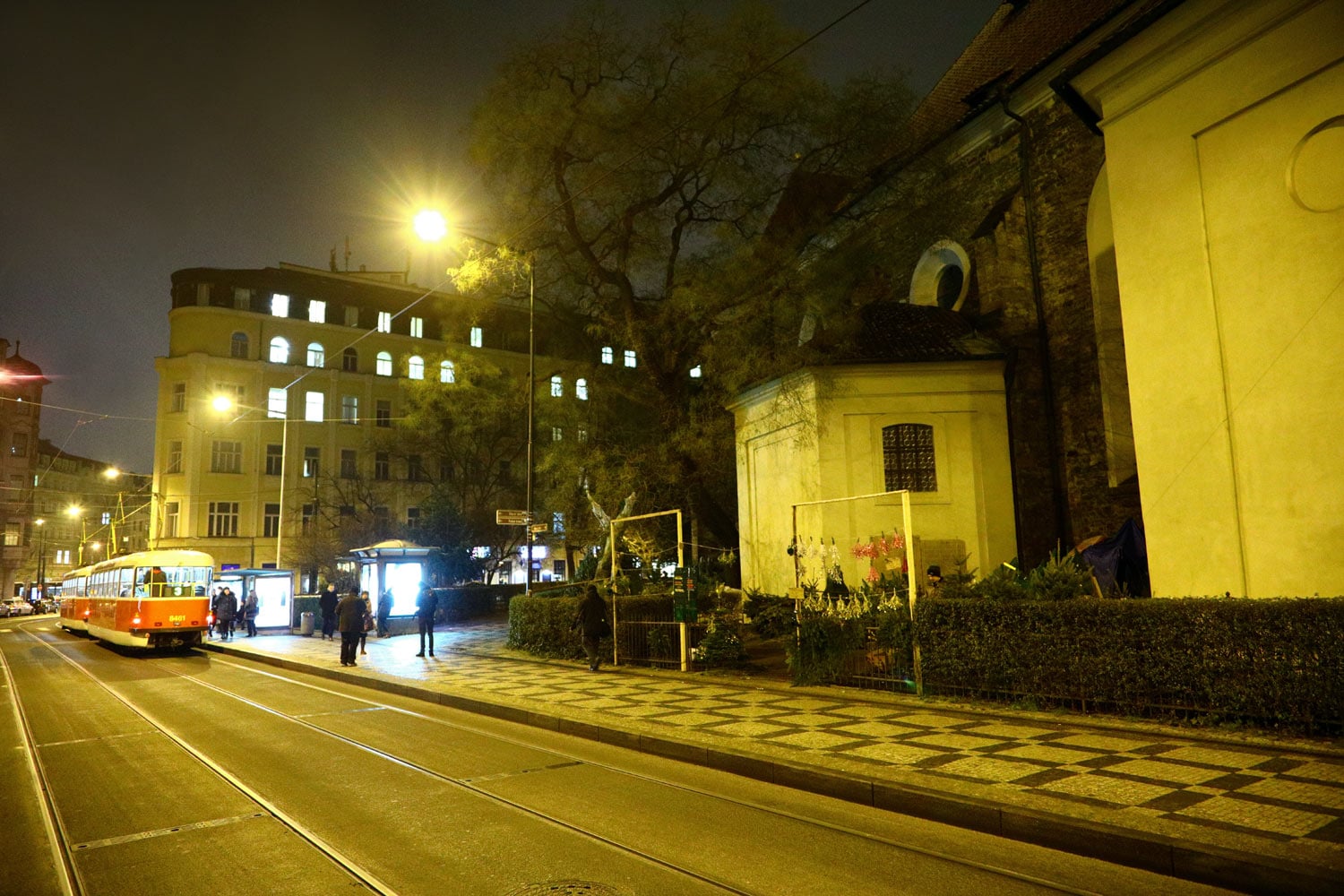 Prodej vánočních stromů 2017