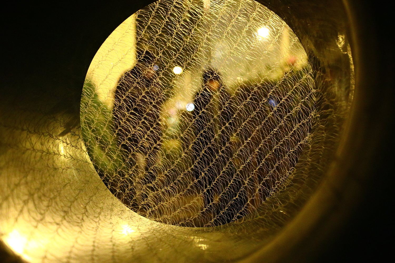 Prodej vánočních stromů 2017