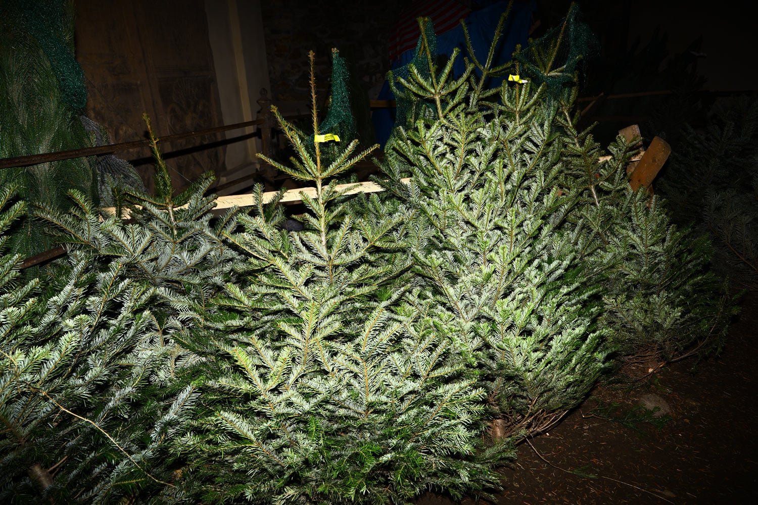 Prodej vánočních stromů 2017