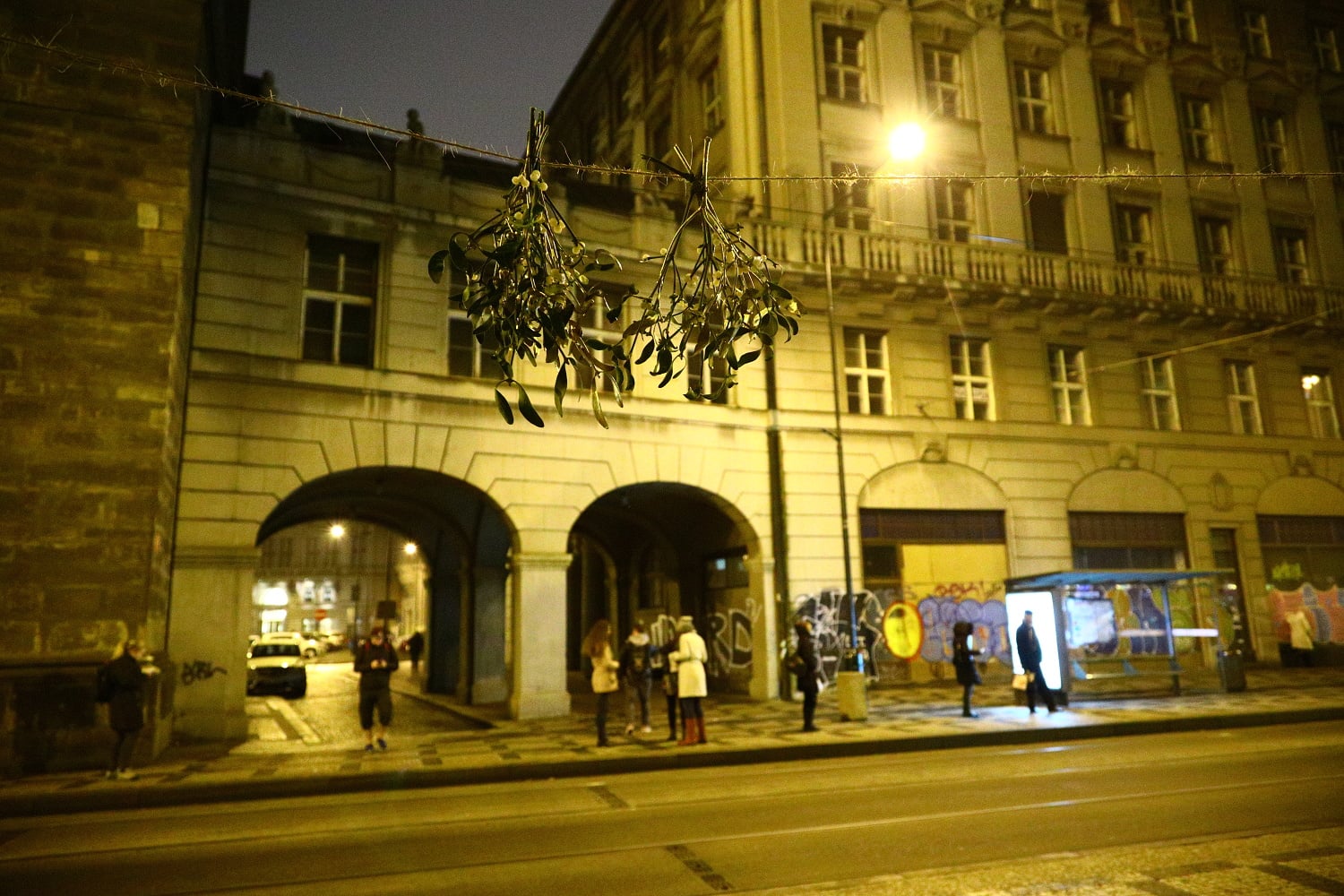 Prodej vánočních stromů 2017