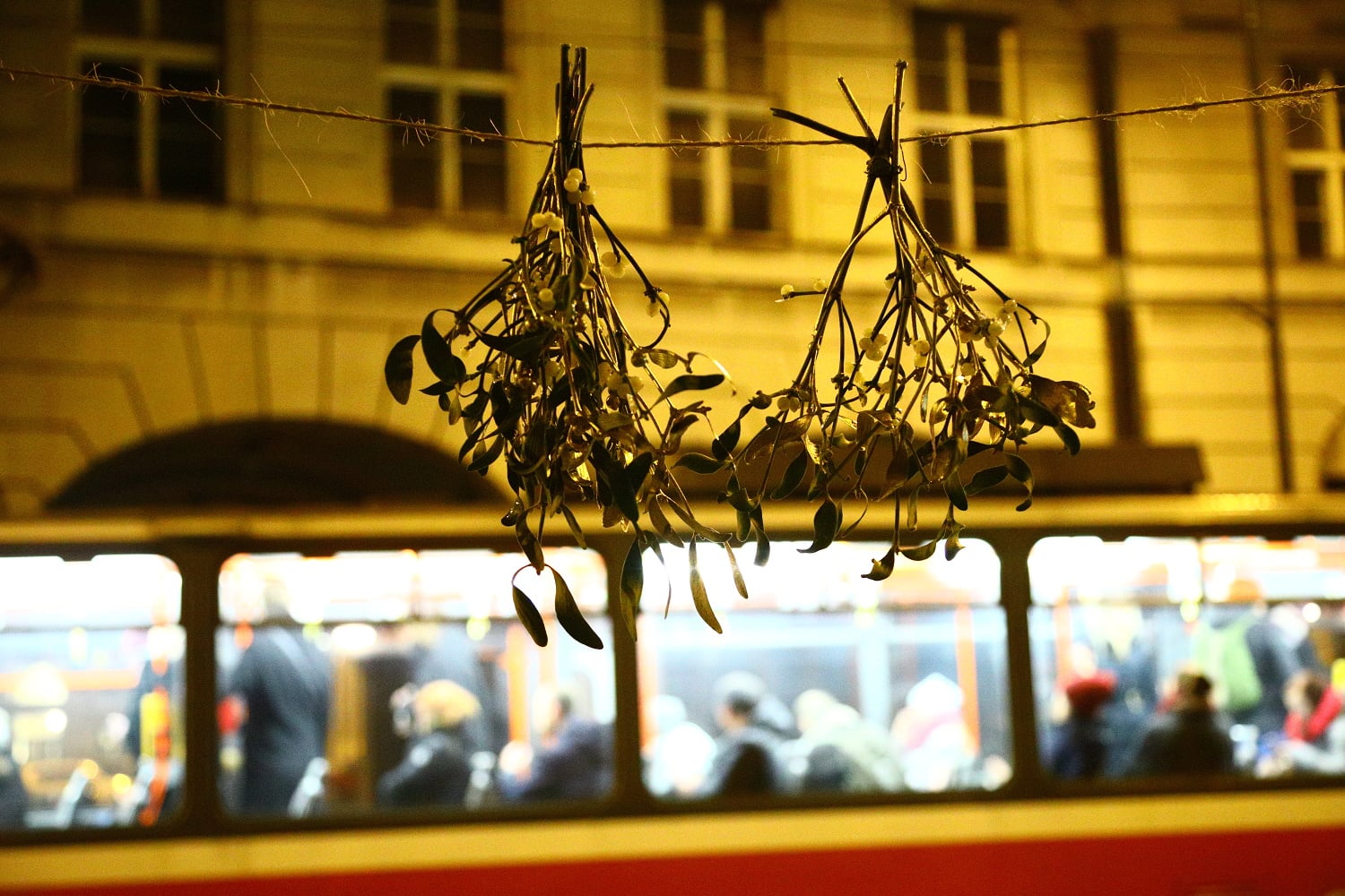 Prodej vánočních stromů 2017