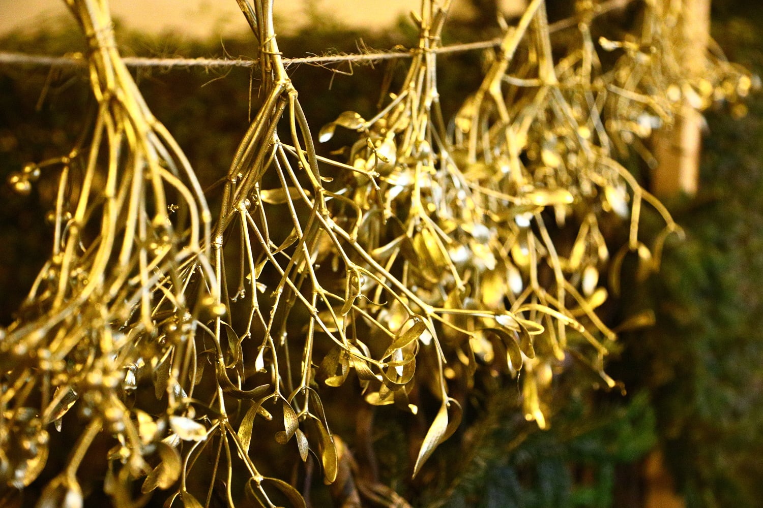 Prodej vánočních stromů 2017