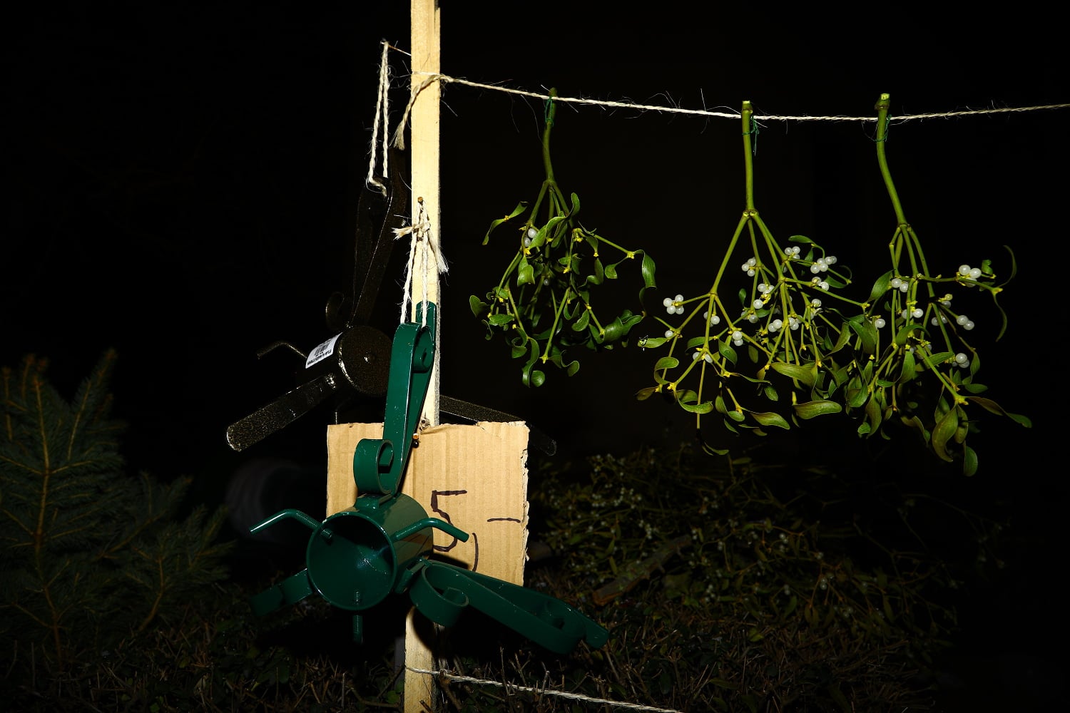 Prodej vánočních stromů 2017