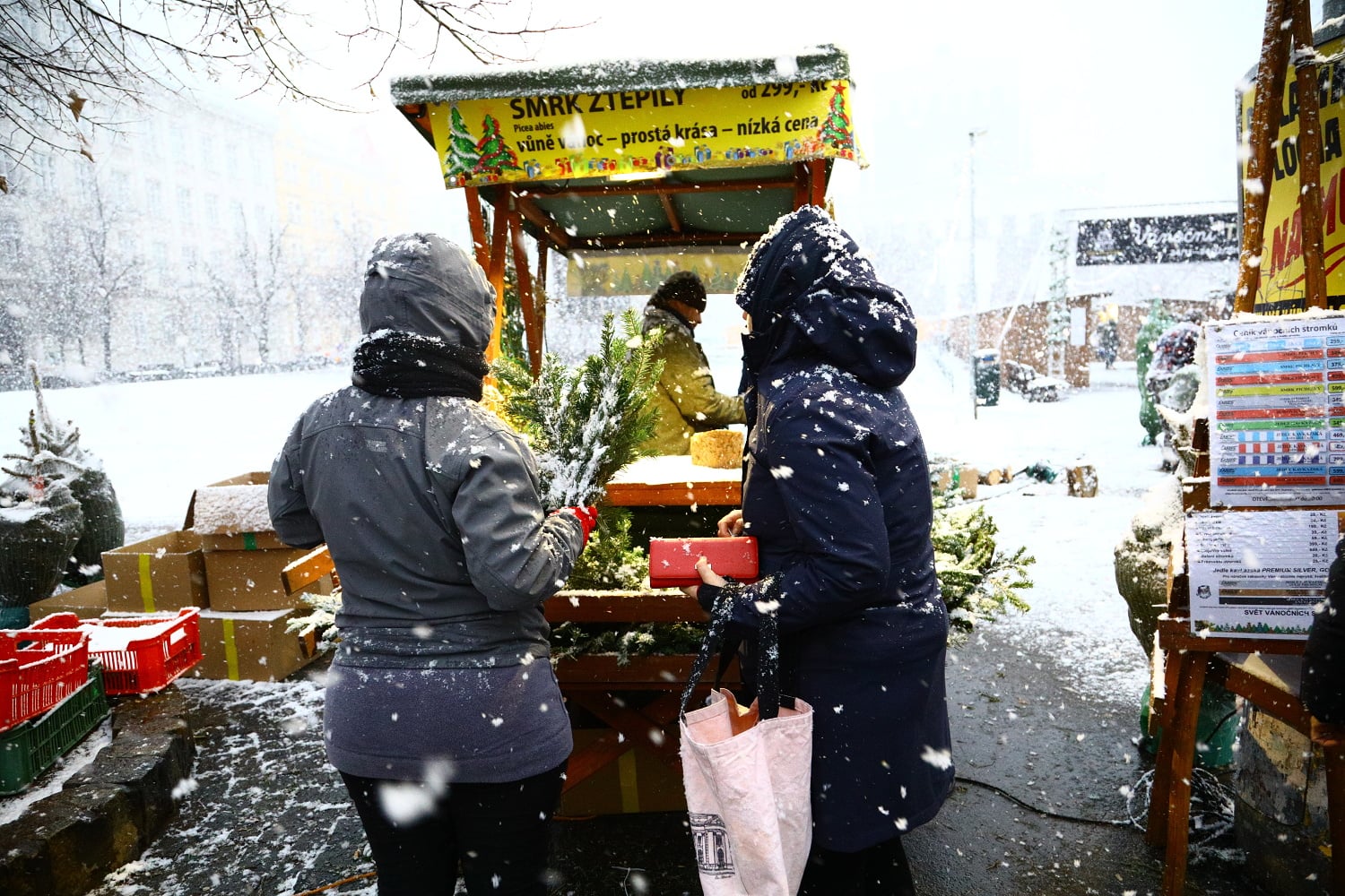 Prodej vánočních stromů 2017