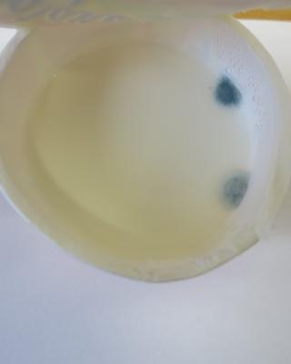 Krajanka jahodová, 130 g. Kategorie: Nebezpečné potraviny. Nevyhovující parametr: plísně okem viditelné. Na povrchu výrobku se vyskytovala plíseň. Plíseň byla zjištěna uvnitř více balení. Potravina neměla prošlé datum použitelnosti. Při kontrole nebyly zjištěny nevyhovující teploty skladování tohoto výrobku. Výrobce: Mlékárna Stříbro s.r.o. Místo kontroly: Penny Market s.r.o., Rousínov