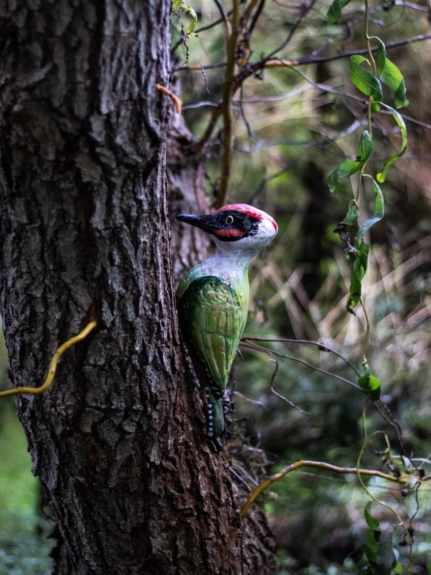 Keramická žluna z Ateliéru Kruhy