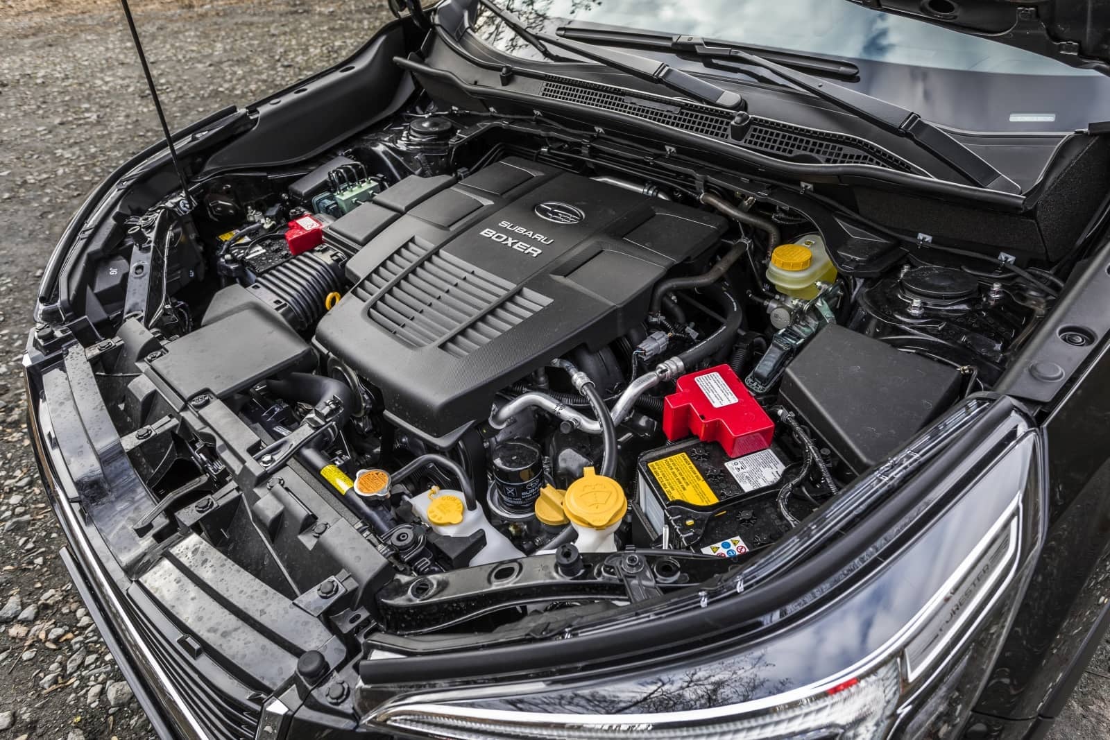 2020-04-aDMB2020_Forester-e-boxer-A7-6627.jpg
