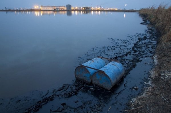 2014-01-jic5benc3ad-sc3badc3a1n-slavc3ad-rok-nezc3a1vislosti-eko