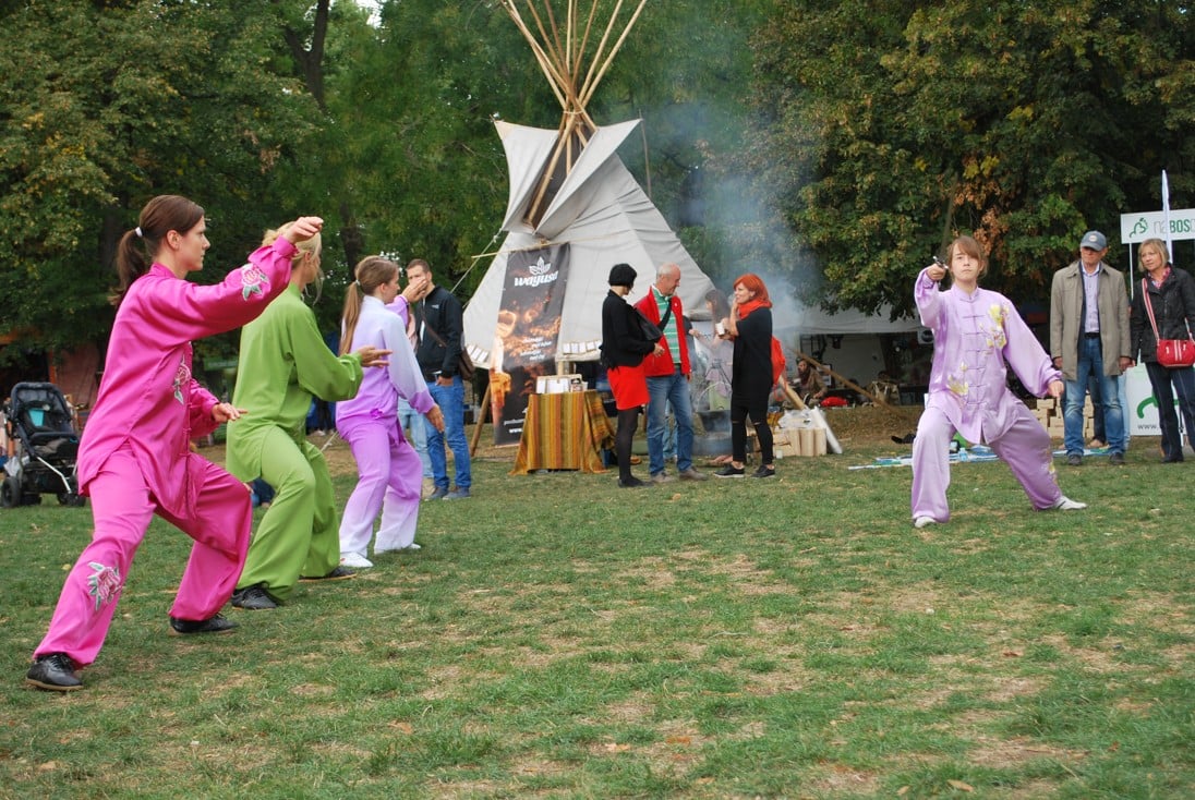 Vegefest 2016 - festival pro šest smyslů