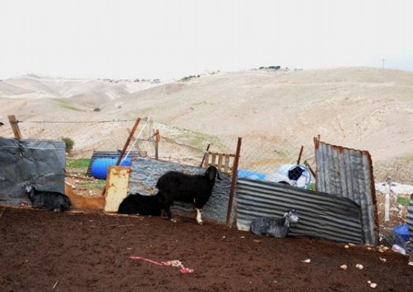 2015-10-beduc3adni-uc5be-nekoc48dujc3ad-c5beijc3ad-v-chatrc48dc3