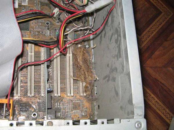 Stále proudící horký vzduch má mumifikační dopad.