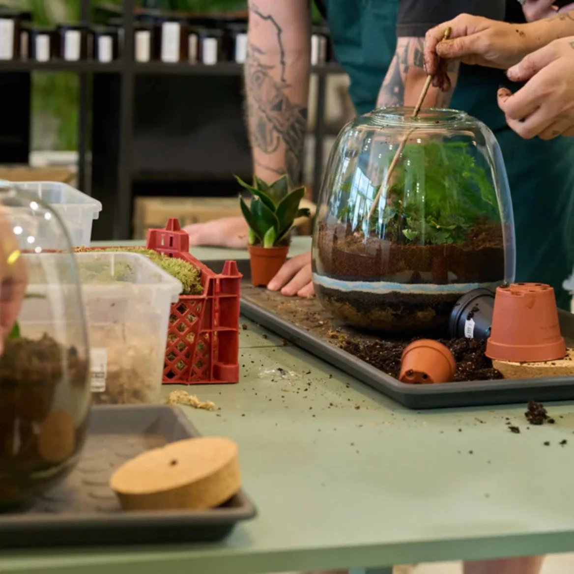 Z workshopu výroby terárií