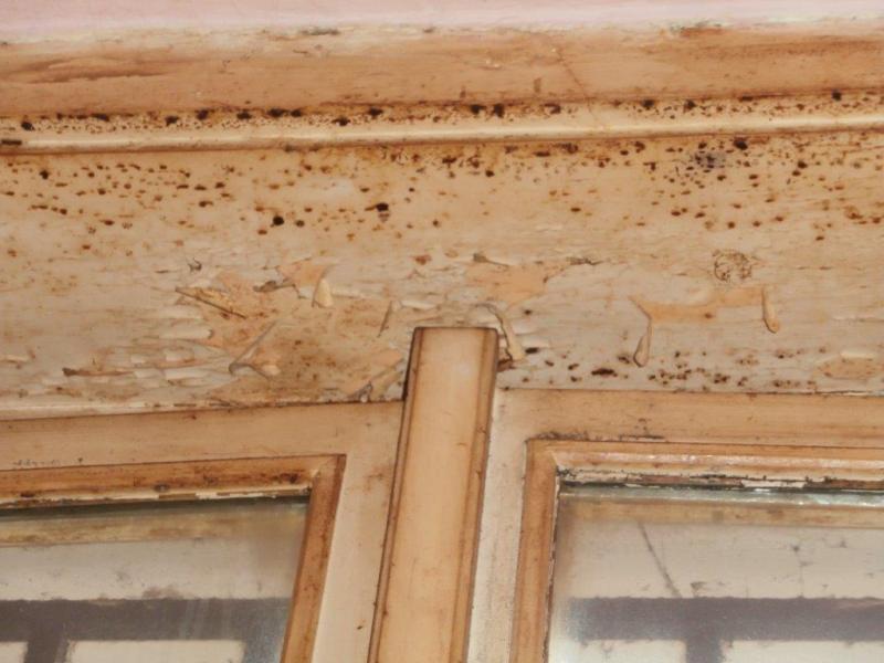 RESTAURACE U SV. ANTONÍČKA, Praha 7