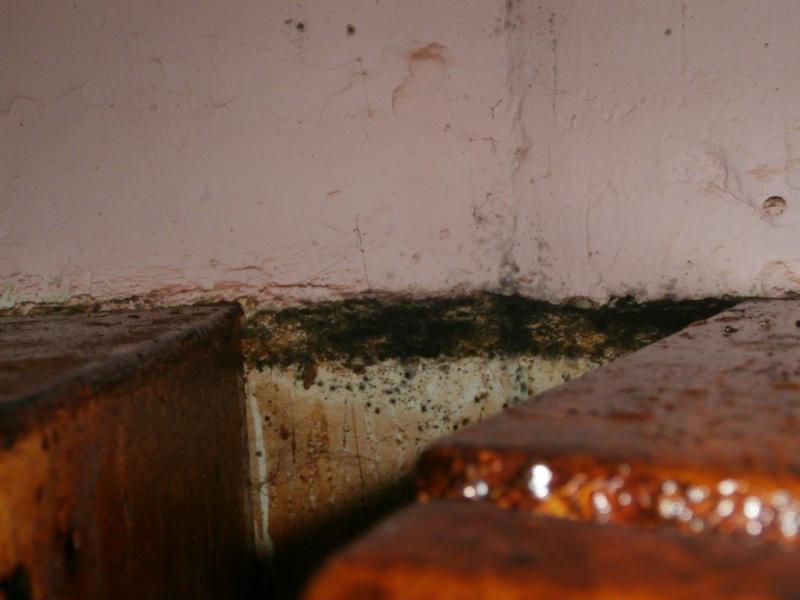 RESTAURACE U SV. ANTONÍČKA, Praha 7