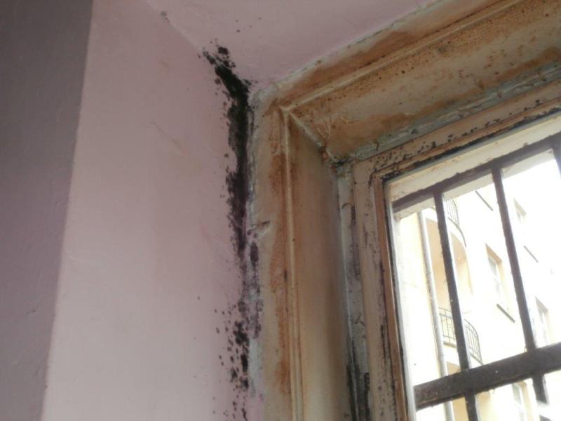 RESTAURACE U SV. ANTONÍČKA, Praha 7