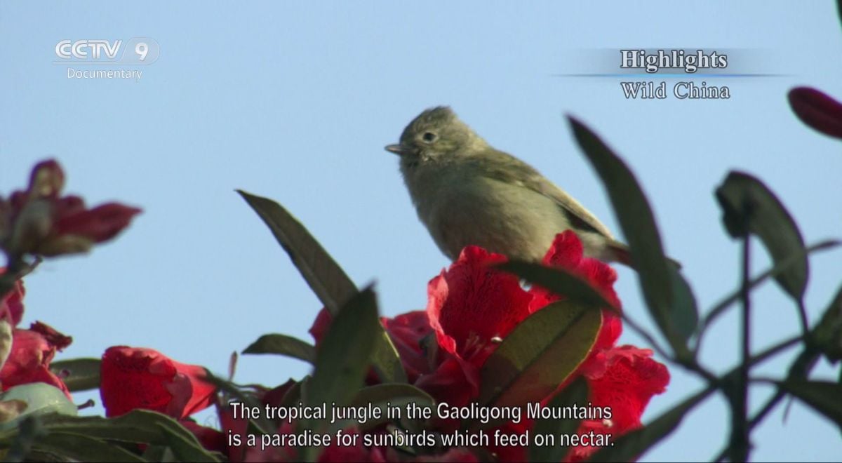 Nové hvězdy na satelitním nebi 24. až 30. listopadu