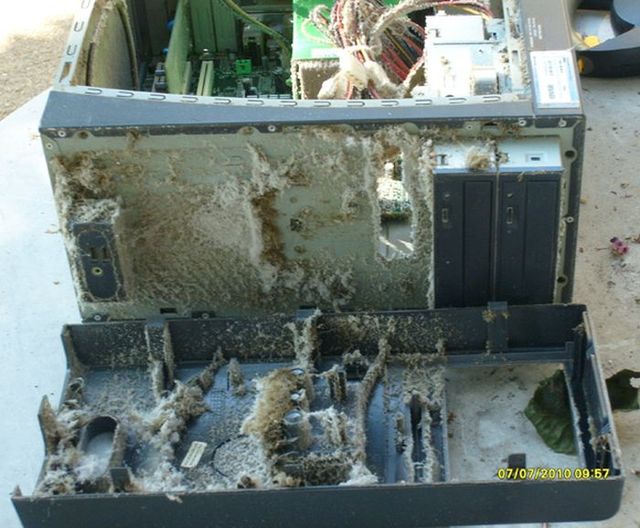 Už po otevření předního krytu je jasno. Tady se dlouho neuklízelo.