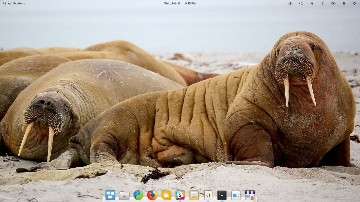 elementary OS 5 Juno
