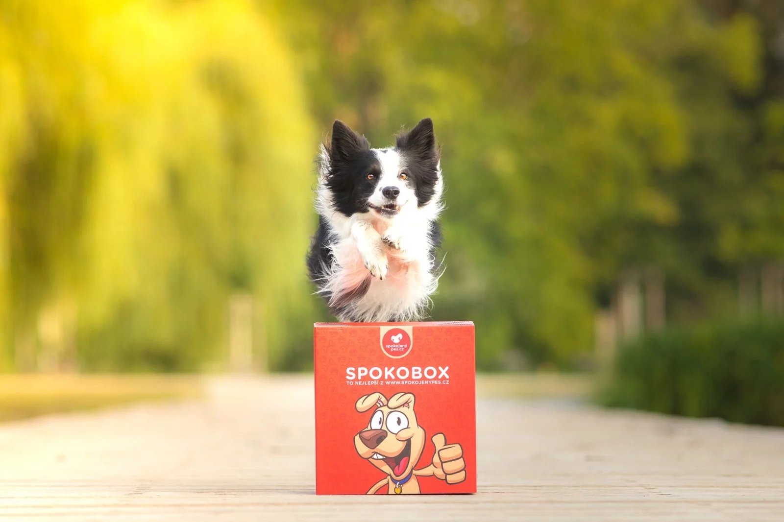 Spokobox - obdoba mystery boxu