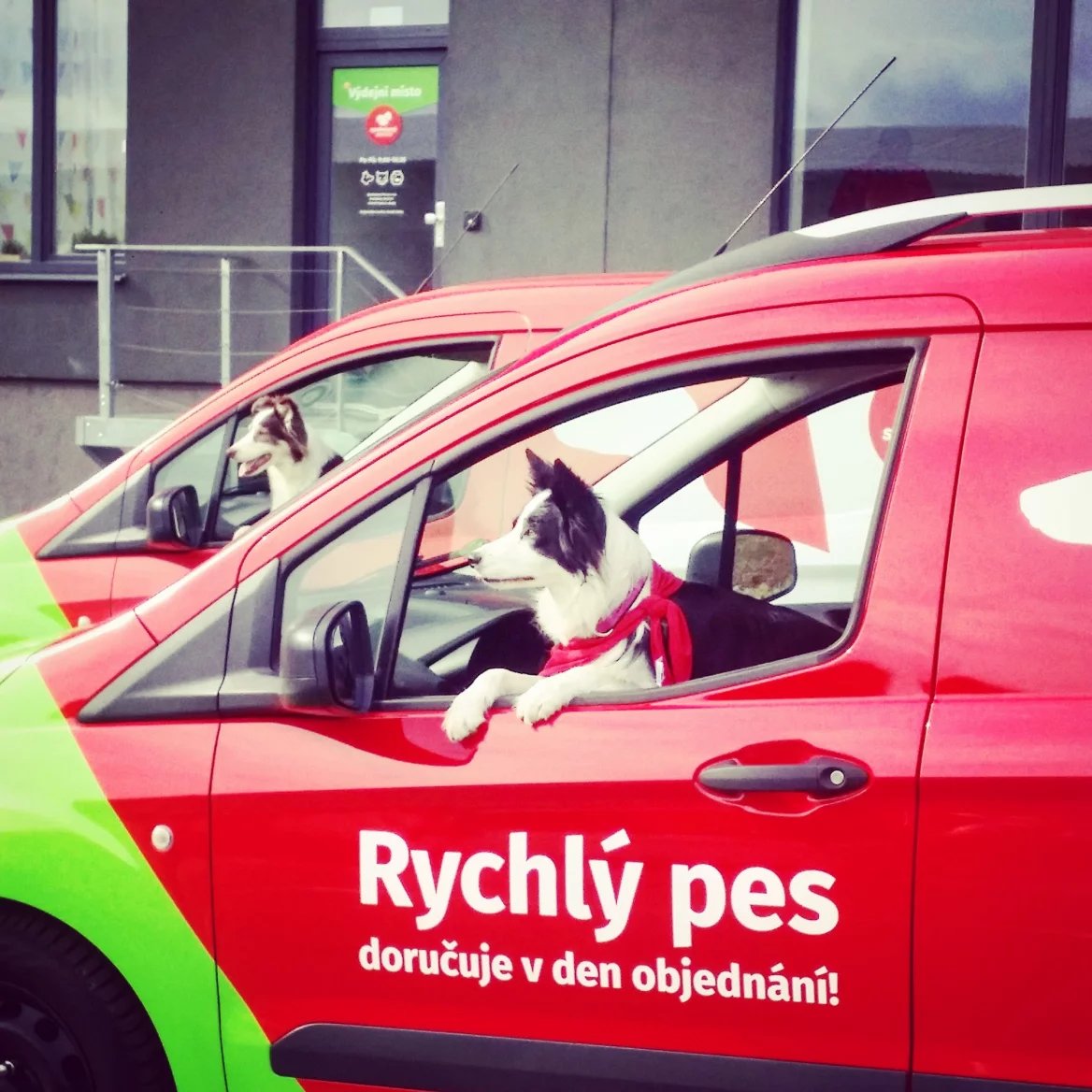 Rychlý pes - doprava Spokojeného psa