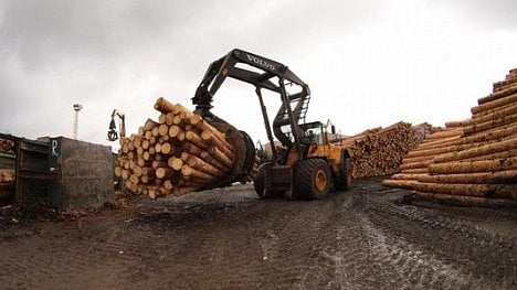 Náhledový obrázek - Přebytek dřeva rozložil trh. Ceny dřevostaveb a nábytku ale neklesají
