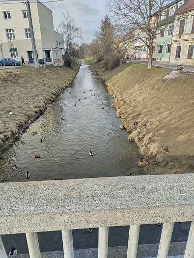 Hlavní fotoaparát (zdroj: Cnews)