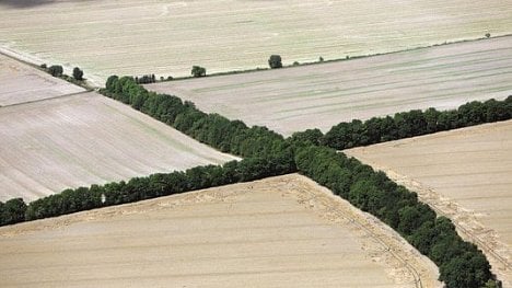 Náhledový obrázek - Konec velkých lánů: český venkov čeká jedna z největších změn posledních desetiletí