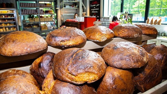 Ilustrační obrázek