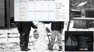 Solus 4.8 Opportunity a Budgie 10.9.4
