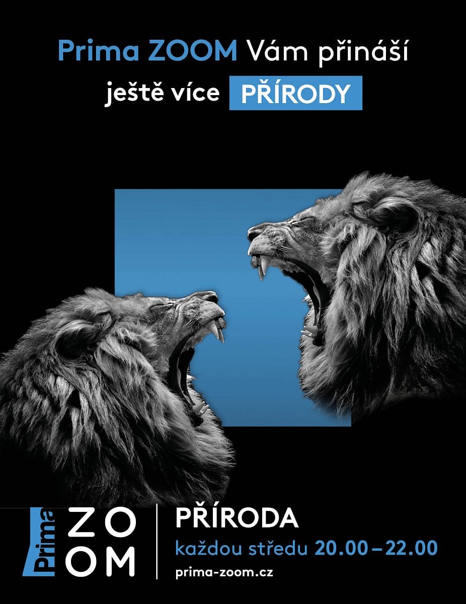 Prima Zoom od října 2020