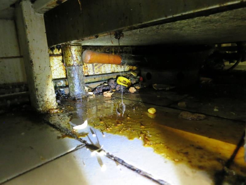 Bohumil Langer, Restaurace U Boba, Brno. Zjištěné skutečnosti: Výskyt hmyzích škůdců, výskyt plísní na stropě a v chladicích zařízeních, výrazně zanedbaný úklid, hromadění odpadů, nezajištění odvozu potravinářského odpadu, výrazné znečištění všech prostor ad.