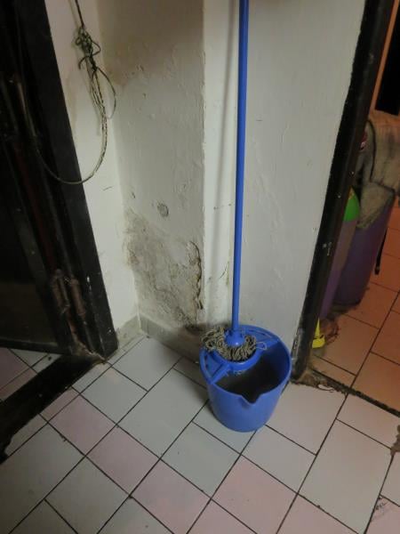 Bohumil Langer, Restaurace U Boba, Brno. Zjištěné skutečnosti: Výskyt hmyzích škůdců, výskyt plísní na stropě a v chladicích zařízeních, výrazně zanedbaný úklid, hromadění odpadů, nezajištění odvozu potravinářského odpadu, výrazné znečištění všech prostor ad.