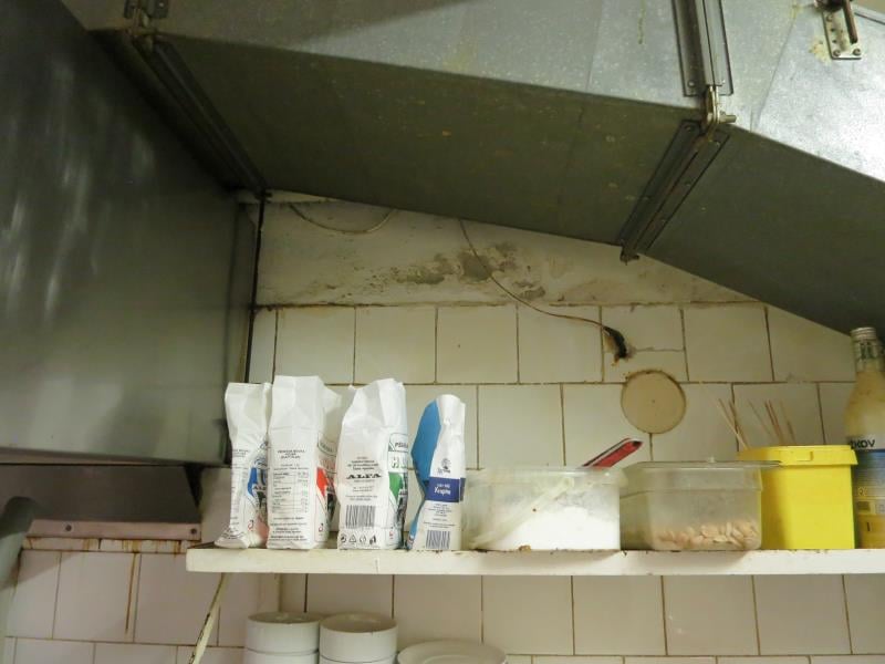 Bohumil Langer, Restaurace U Boba, Brno. Zjištěné skutečnosti: Výskyt hmyzích škůdců, výskyt plísní na stropě a v chladicích zařízeních, výrazně zanedbaný úklid, hromadění odpadů, nezajištění odvozu potravinářského odpadu, výrazné znečištění všech prostor ad.