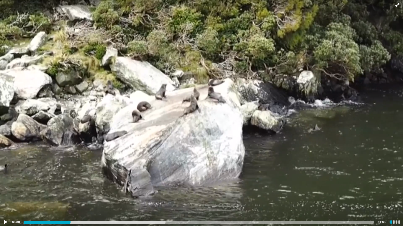 S Čechy kolem světa - Film Popular