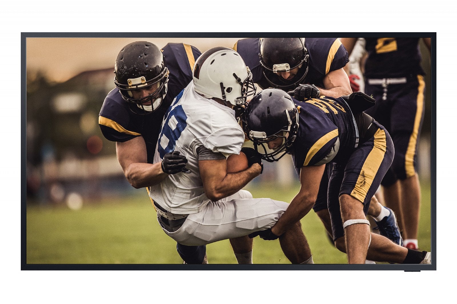 Samsung Terrace Outdoor TV