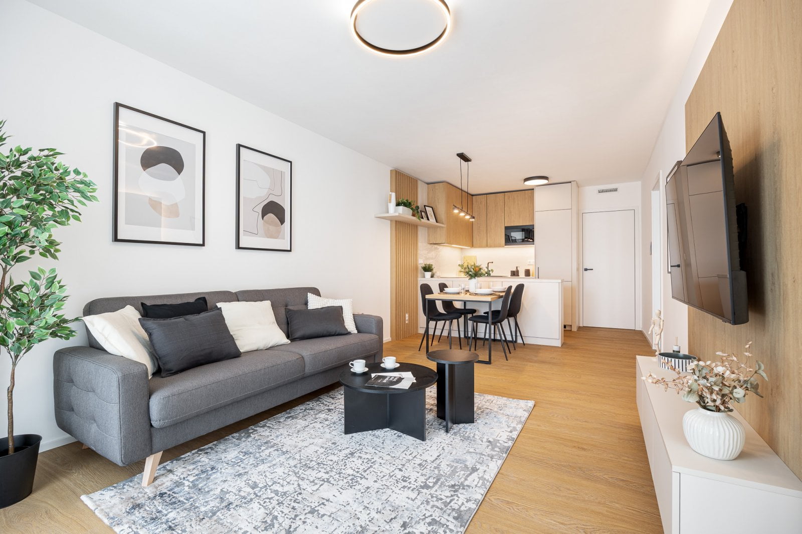 Vizualizace brněnského projektu Cyril