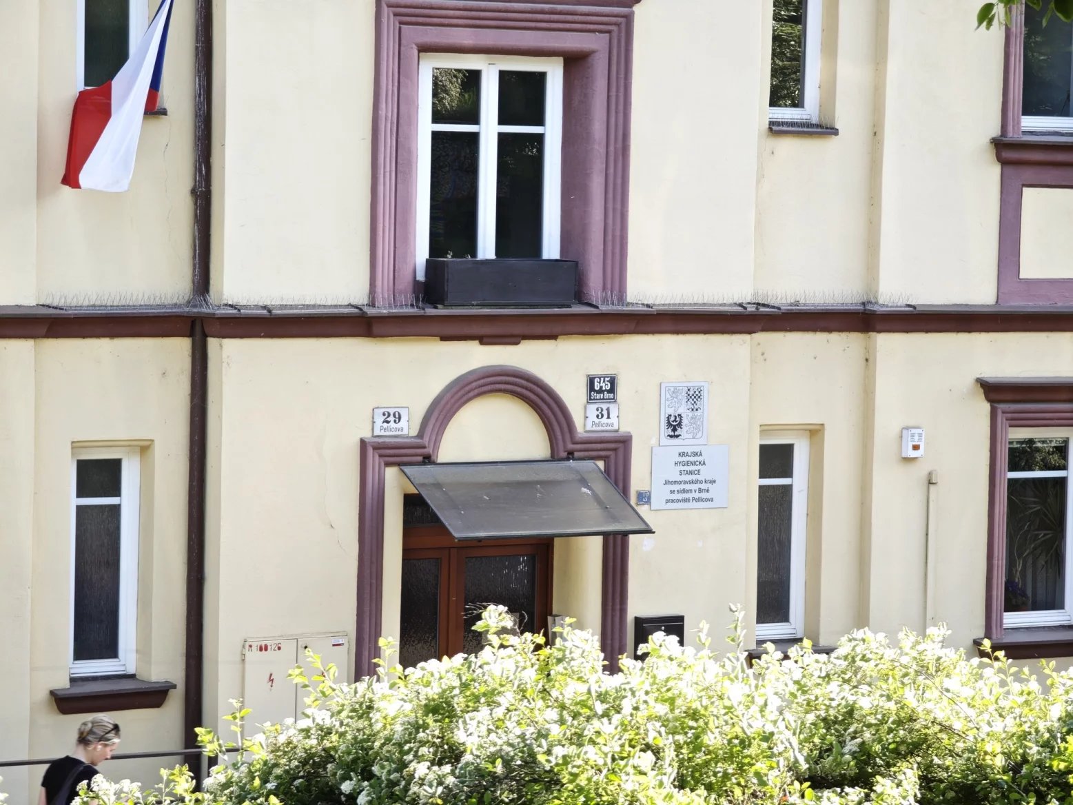 5násobný optický zoom