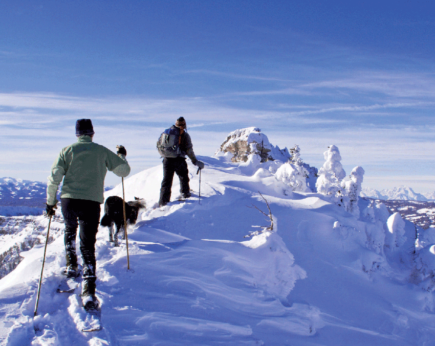 běžky