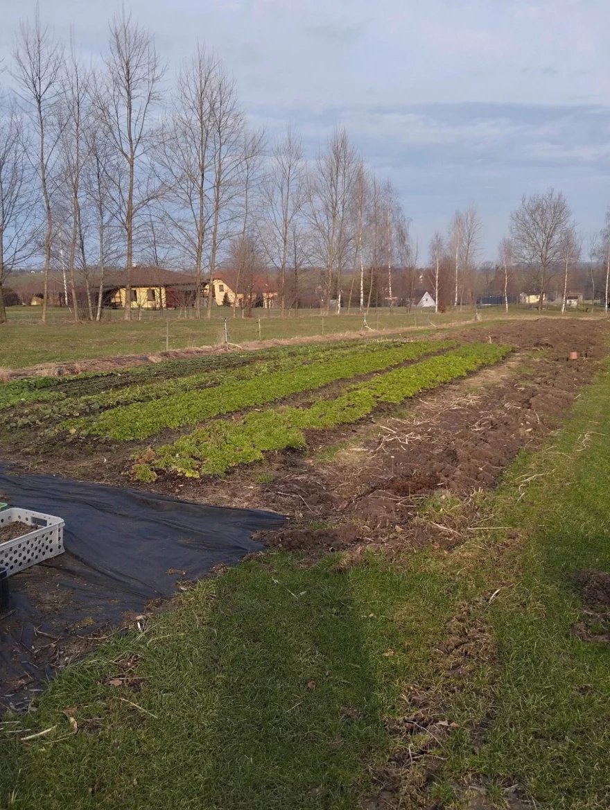 Záhon Květinové farmy Ewa