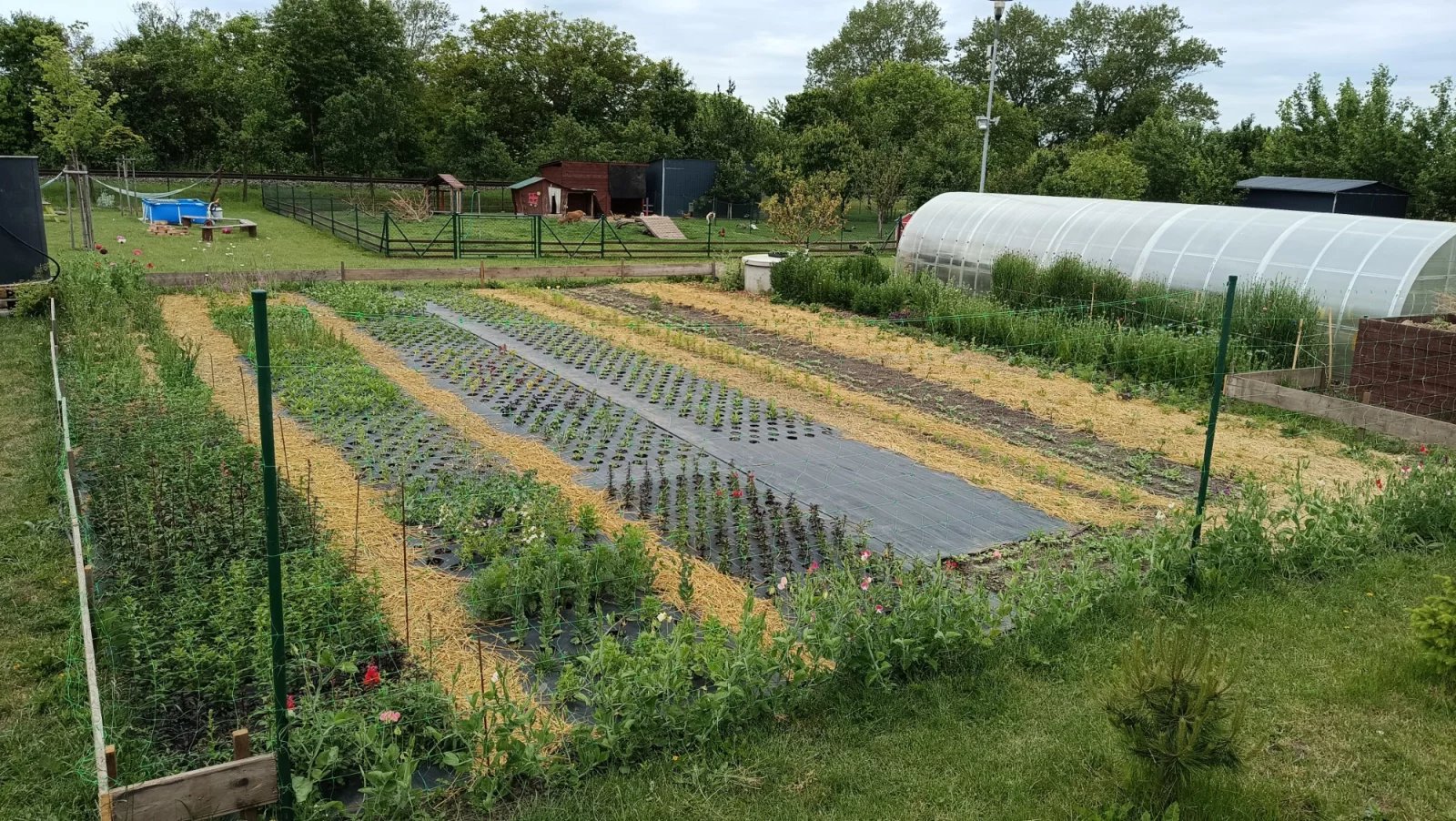 Pohled na záhony farmy Kvítí z dědiny