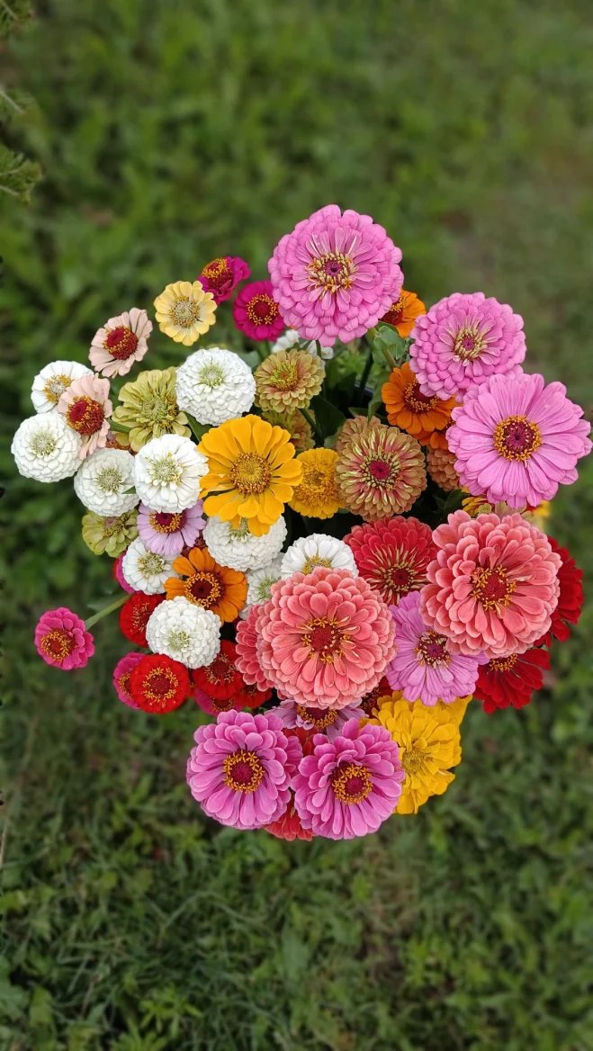 Květy od Kvítí z dědiny