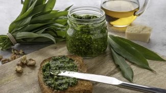 Medvědí česnek, pesto ve sklenici a pesto namazané na chleba