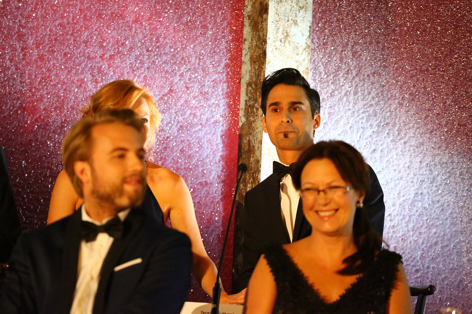 Tisková konference StarDance, 7. září 2015